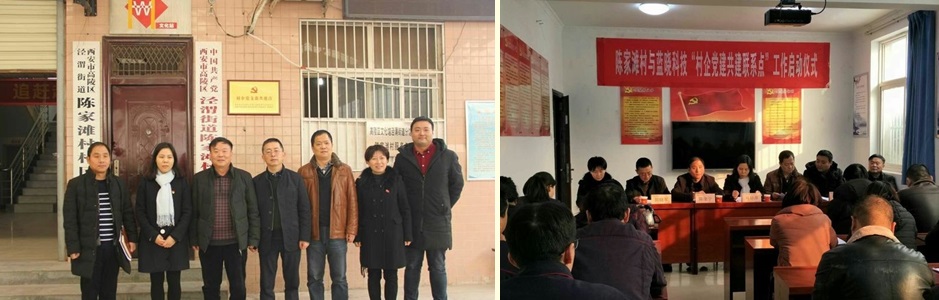 ��˾��֧�����󵳽�������ģʽ