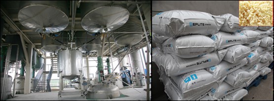 ÕÅÈ«ÐËԺʿӦÑû½øÐÓ×¶Àë×Ó»¥»»ÓëÎü¸½Ê÷Ö¬·¢Õ¹¹ý³ÌÓëÕ°Íû¡·»ã±¨»á ÕÅÈ«ÐËԺʿӦÑû½øÐÓ×¶Àë×Ó»¥»»ÓëÎü¸½Ê÷Ö¬·¢Õ¹¹ý³ÌÓëÕ°Íû¡·»ã±¨»á