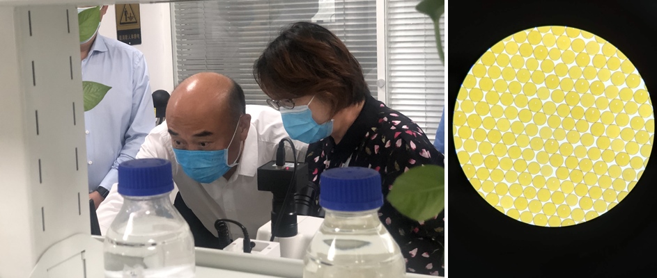 ����ʡʡ��������ע�������г�����Զһ�е��и���888���Ų�ҵ԰