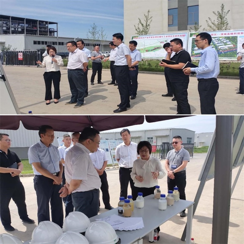 渭南市市长王琳一行调研蒲城888集团新资料产业园项目 渭南市市长王琳一行调研蒲城888集团新资料产业园项目