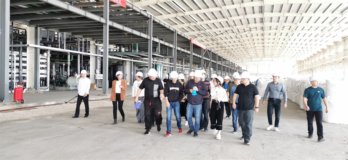 ��888���ſƼ��κ���﮼��������߽���̩��Ŀ��Բ������