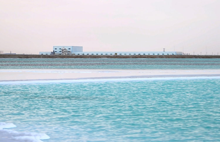 ��ҳ | welcometoӭ�ӻ���888���Ź�˾����